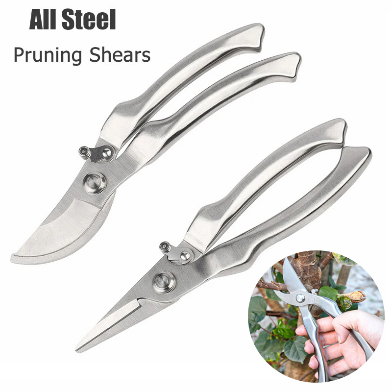 オールステンレス製のプロ用園芸剪定鋏、樹木の枝の剪定、果物の - Bonsai Tool Set のレビューと価格