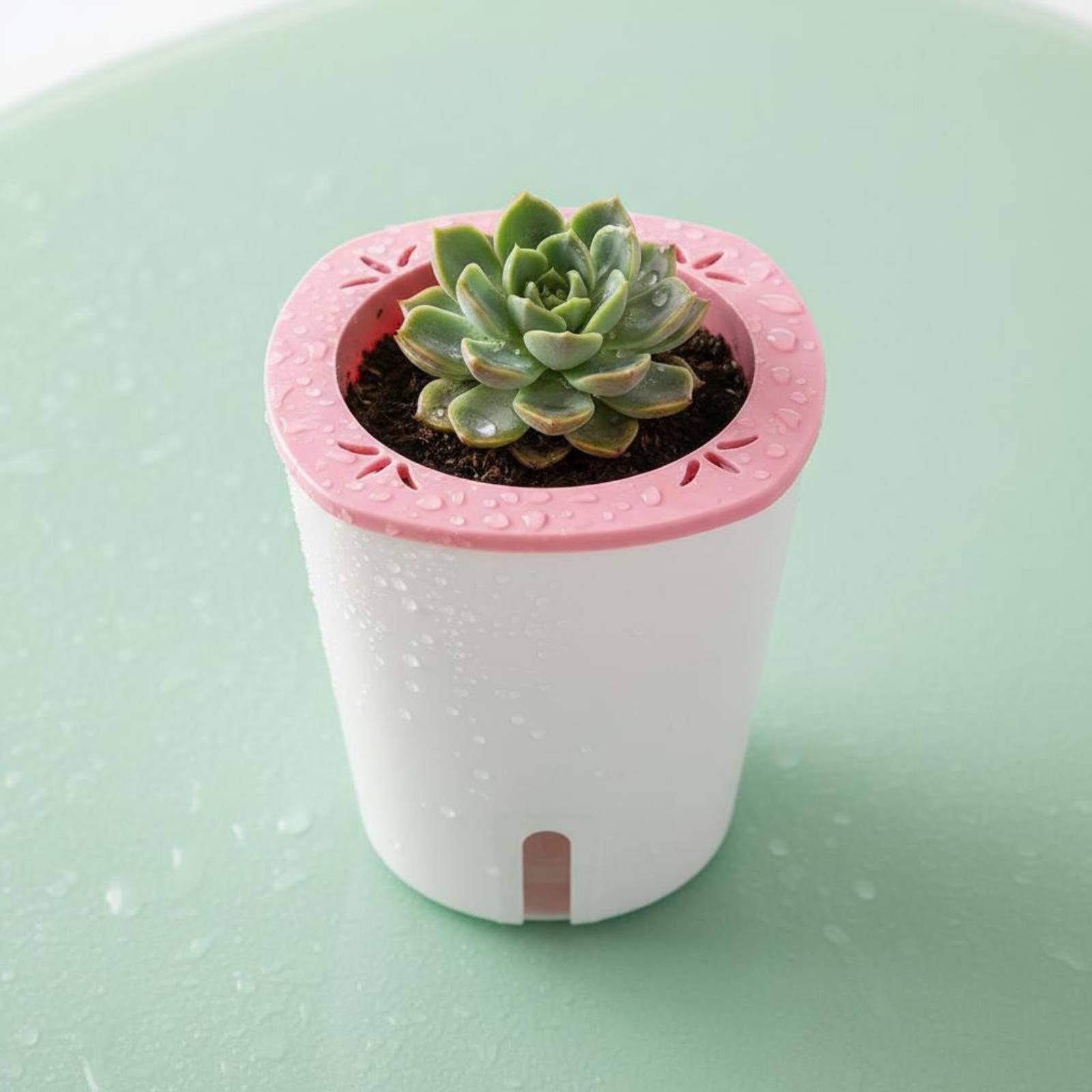 自動給水プランター 大型自動給水ポット 水貯蔵プランター 水 - Self-Watering Planter のレビューと価格