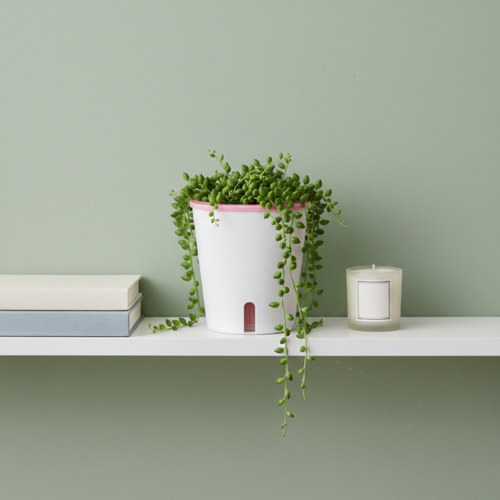 自動給水プランター 大型自動給水ポット 水貯蔵プランター 水 - Self-Watering Planter のレビューと価格