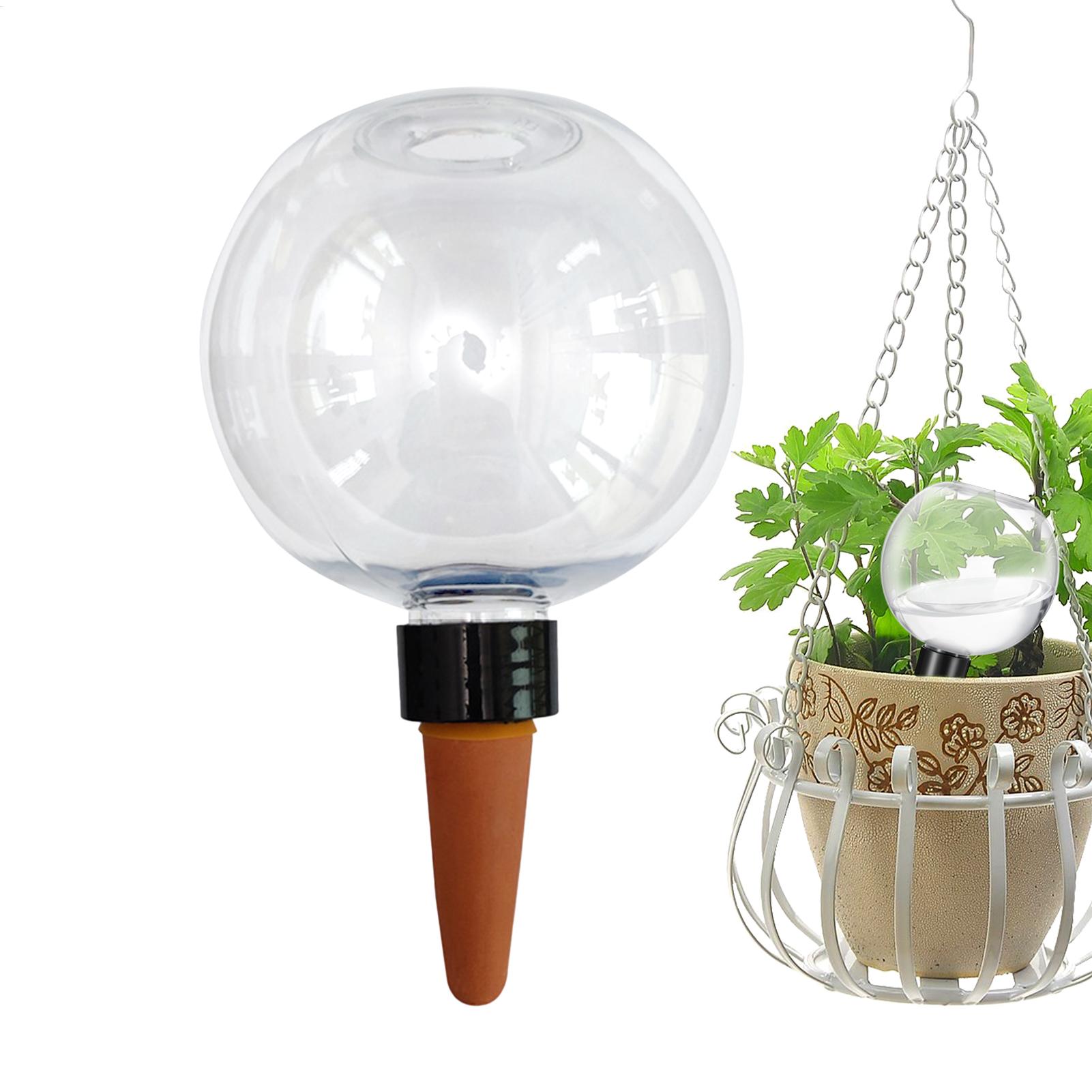 500ml自動植物散水球ガラス球プランターインサート簡単自動 - Self-Watering Planter のレビューと価格
