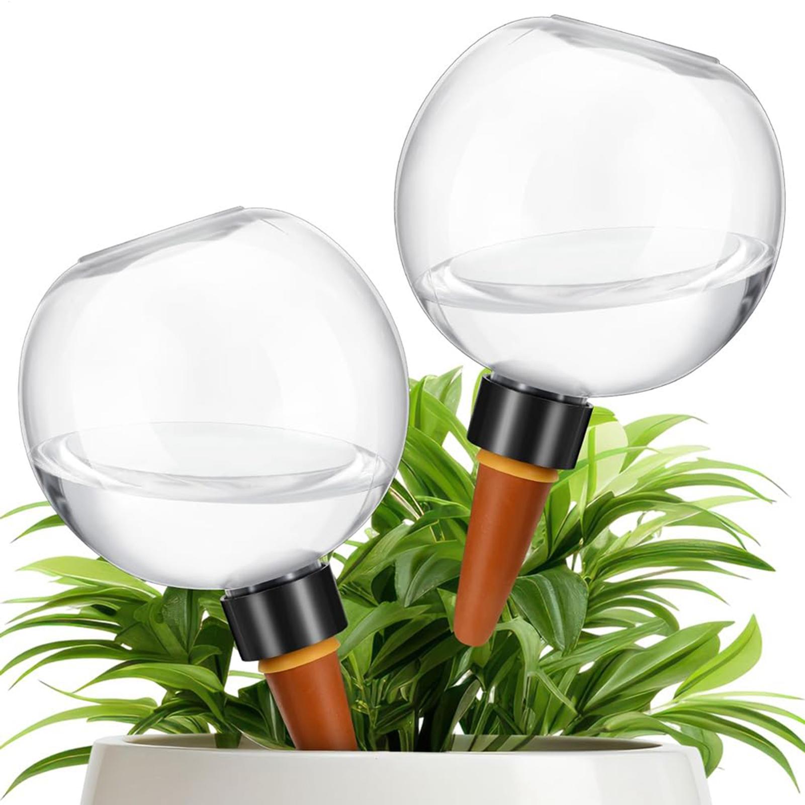 500ml自動植物散水球ガラス球プランターインサート簡単自動 - Self-Watering Planter のレビューと価格