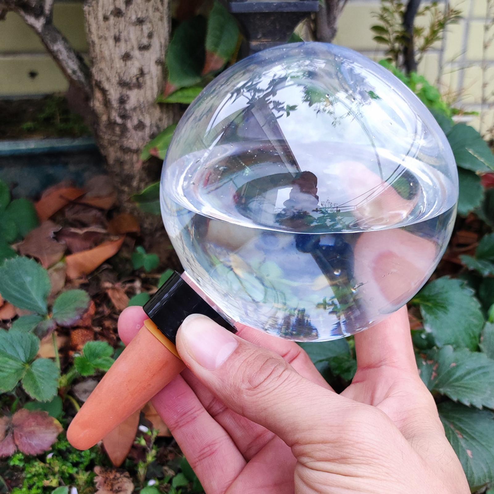 500ml自動植物散水球ガラス球プランターインサート簡単自動 - Self-Watering Planter のレビューと価格