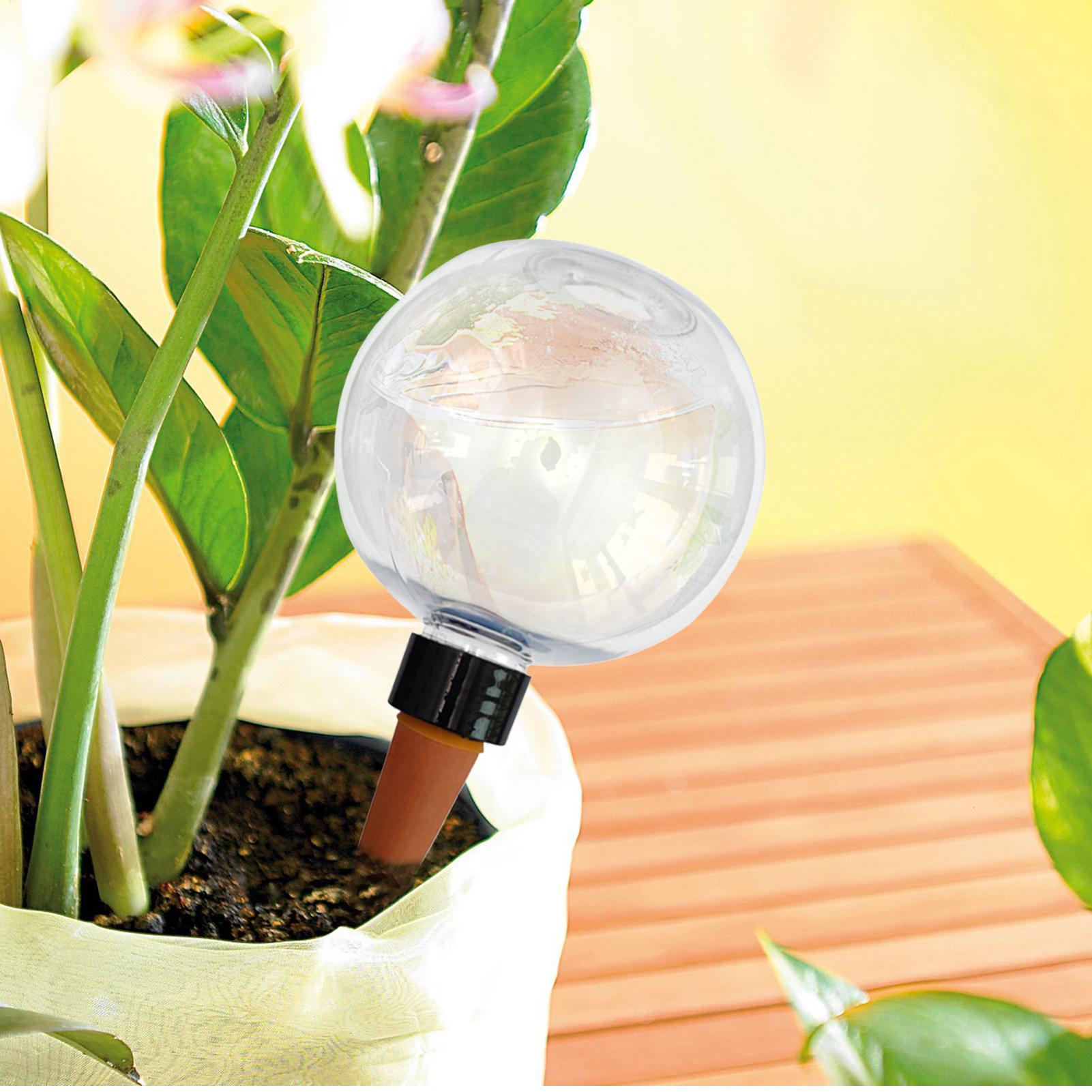 500ml自動植物散水球ガラス球プランターインサート簡単自動 - Self-Watering Planter のレビューと価格