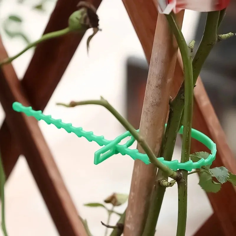 再利用可能なガーデンケーブルタイ、植物、つる性植物、低木用サ - Gardening Tools For Vines のレビューと価格