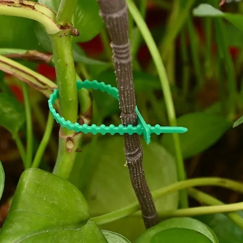 再利用可能なガーデンケーブルタイ、植物、つる性植物、低木用サ - Gardening Tools For Vines のレビューと価格