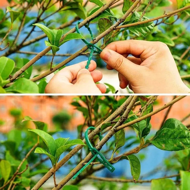 再利用可能なガーデンケーブルタイ、植物、つる性植物、低木用サ - Gardening Tools For Vines のレビューと価格