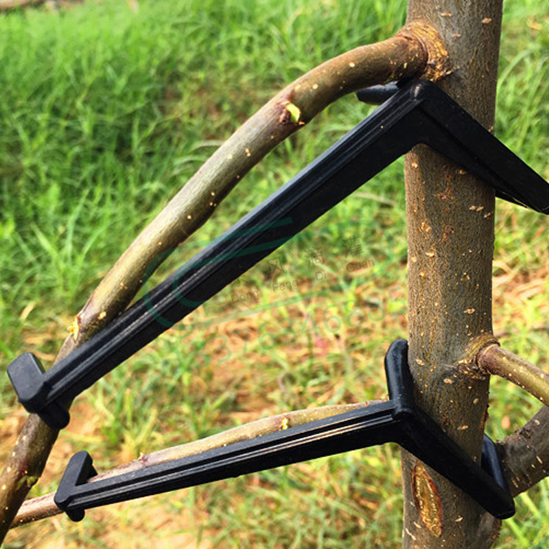 10-30 個果樹クリップ植物つるサポートツイストシェイパー - Gardening Tools For Vines のレビューと価格