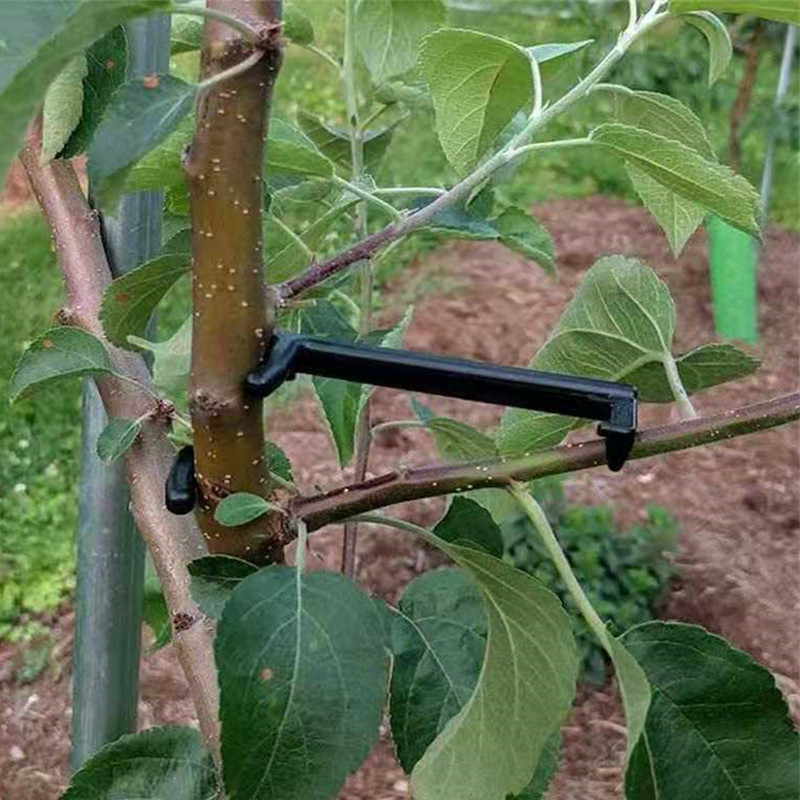10-30 個果樹クリップ植物つるサポートツイストシェイパー - Gardening Tools For Vines のレビューと価格