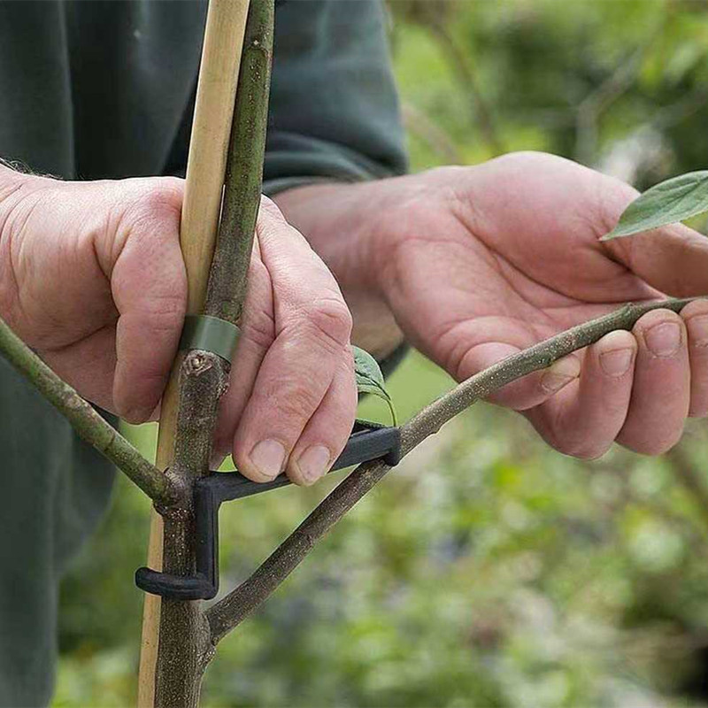 10-30 個果樹クリップ植物つるサポートツイストシェイパー - Gardening Tools For Vines のレビューと価格