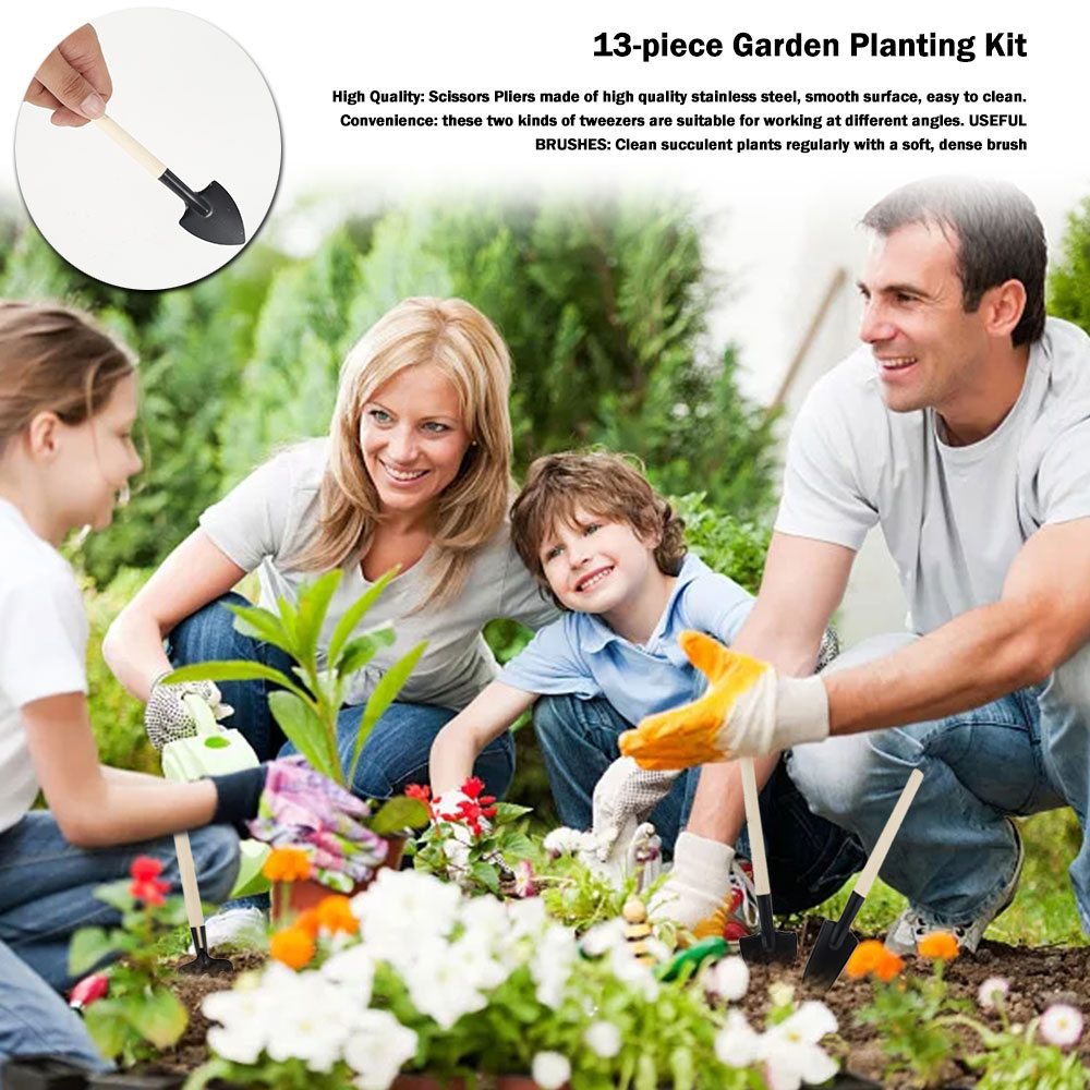 多肉植物ツールミニガーデンハンドツール金型屋外盆栽ガーデニン - Bonsai Tool Set のレビューと価格