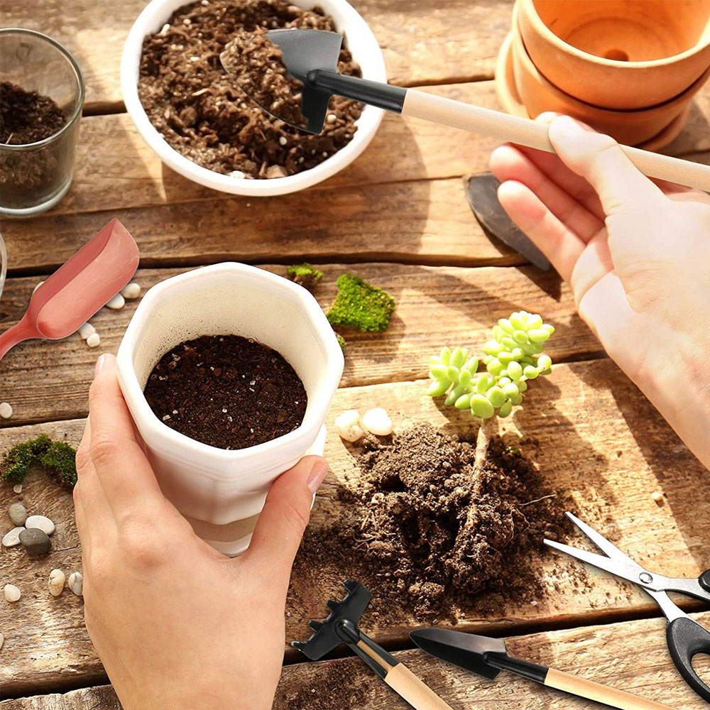 多肉植物ツールミニガーデンハンドツール金型屋外盆栽ガーデニン - Bonsai Tool Set のレビューと価格