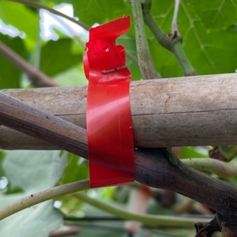 ブドウの枝結束機 特殊トマトキュウリつる結束テープ設置機 ポ - Gardening Tools For Vines のレビューと価格