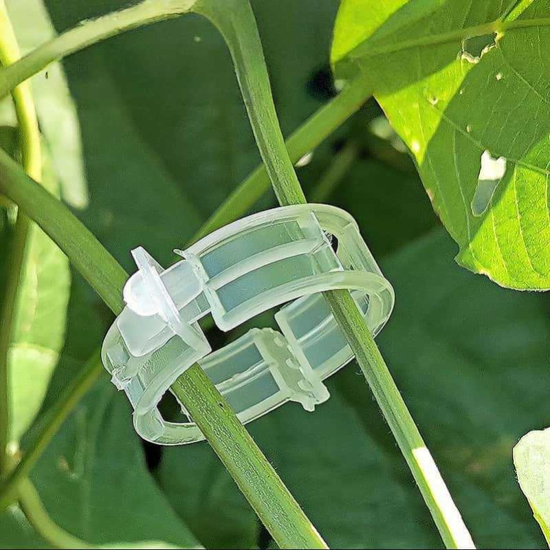300/50個入り 植物サポートクリップ 再利用可能なプラス - Gardening Tools For Vines のレビューと価格
