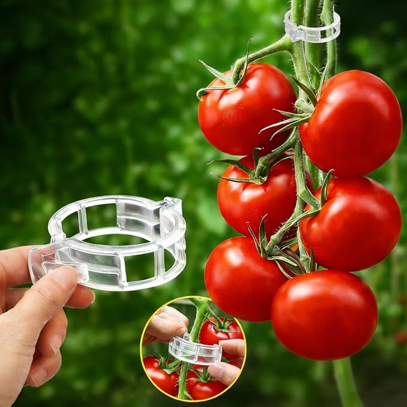 300/50個入り 植物サポートクリップ 再利用可能なプラス - Gardening Tools For Vines のレビューと価格