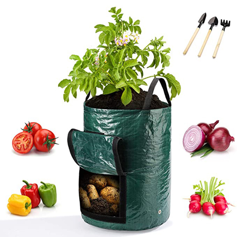1pc 10 ガロン栽培バッグ野菜植物用ハンドル付きポット植 - Grow Bags のレビューと価格